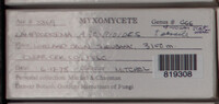 Image Associated With the Occurence